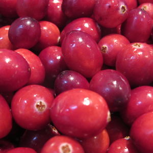 Cranberry