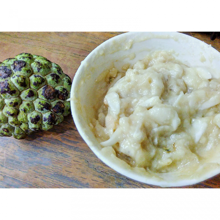 Frozen Custard Apple Pulp Ganpati Food Processors