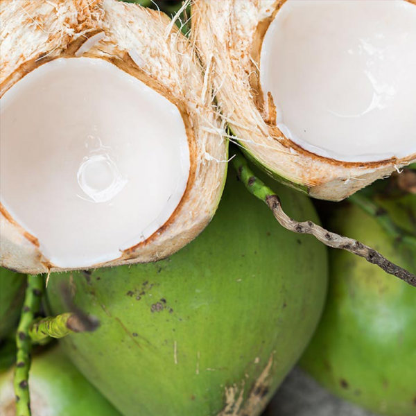 Tender coconut slices