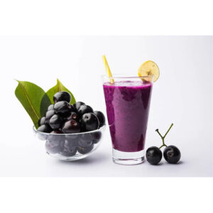 Profruitin-Frozen-Jamun-Pulp